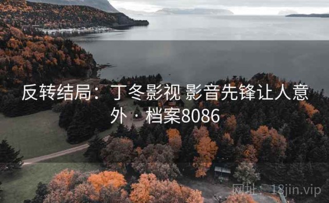 反转结局：丁冬影视 影音先锋让人意外 · 档案8086