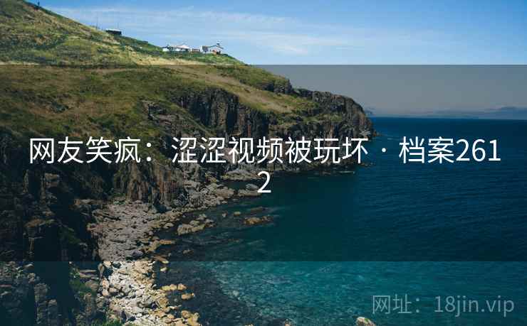 网友笑疯：涩涩视频被玩坏 · 档案2612