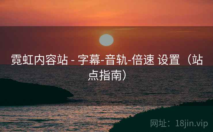 霓虹内容站 - 字幕-音轨-倍速 设置（站点指南）