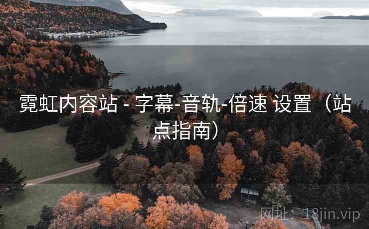 霓虹内容站 - 字幕-音轨-倍速 设置（站点指南）
