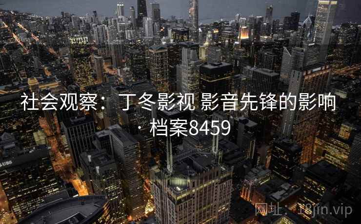 社会观察：丁冬影视 影音先锋的影响 · 档案8459