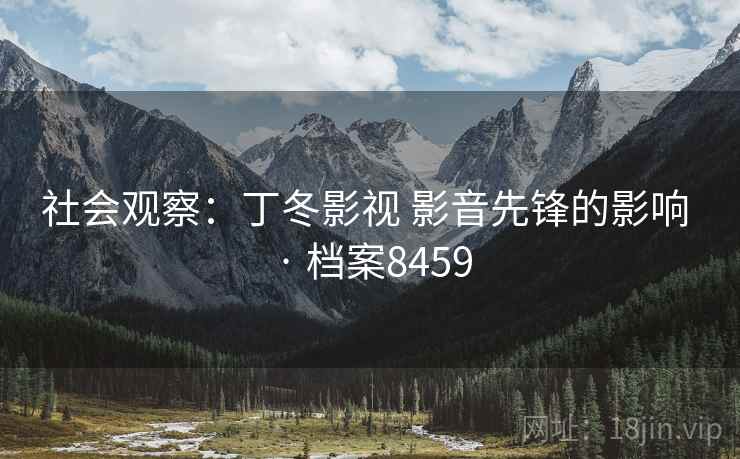 社会观察：丁冬影视 影音先锋的影响 · 档案8459