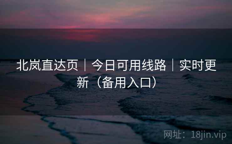 北岚直达页｜今日可用线路｜实时更新（备用入口）