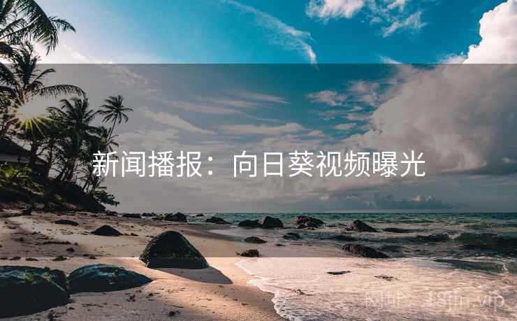 新闻播报：向日葵视频曝光