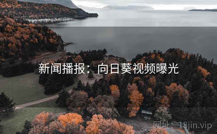 新闻播报：向日葵视频曝光