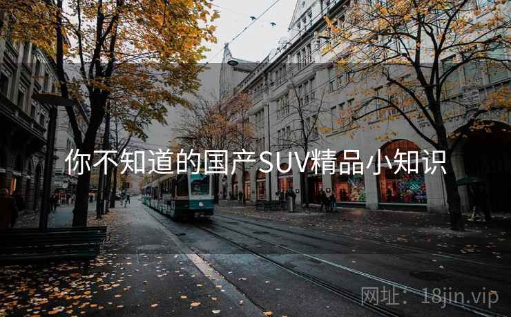 你不知道的国产SUV精品小知识